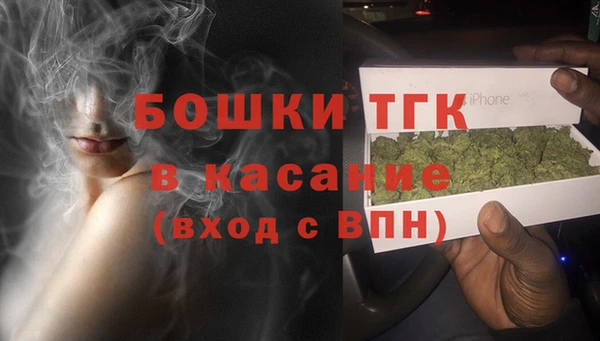 шишки Касимов