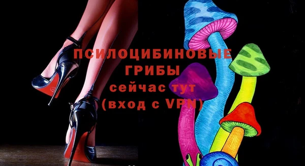 шишки Касимов
