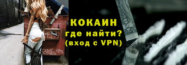 шишки Касимов
