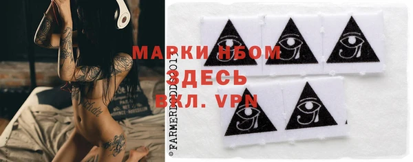 шишки Касимов