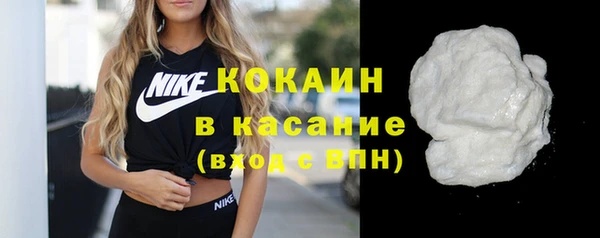 шишки Касимов