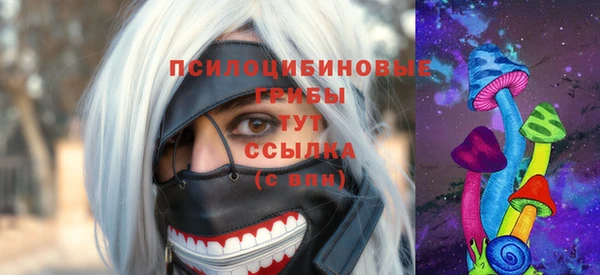 гашиш Карпинск