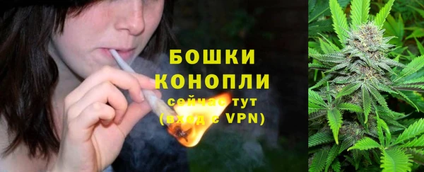 шишки Касимов