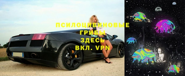 шишки Касимов